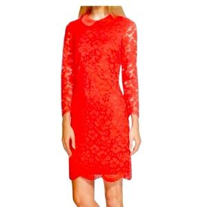 Ted Baker, Lace Eternal Dress,